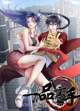 一品高手